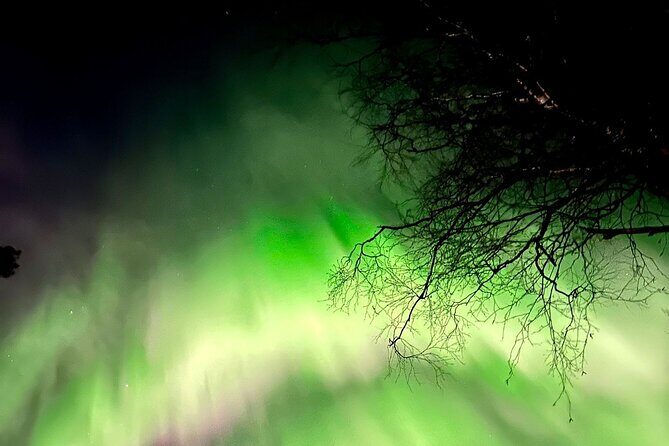 Rovaniemi: Aurora Hunting & Photography Tour - The Scenic Stops: Nature and Night Sky