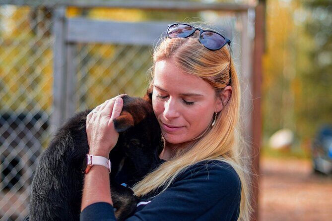 Rovaniemi Autumn Husky Safari & BBQ  610 km SelfDrive - Who Is This Tour Best For?