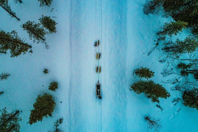 Rovaniemi Husky Safari & Campfire BBQ  610 km SelfDrive - FAQs