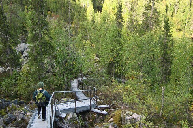 Rovaniemi: Korouoma Canyon Hike and Barbecue Experience - Practical Details: What You Need to Know