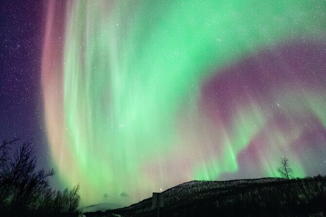 Rovaniemi: Northern Lights Pro Guaranteed - Unlimited (PRIVATE) - A Tailored Aurora Chase