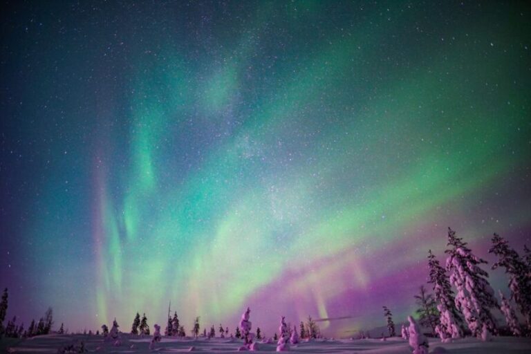 Rovaniemi: Northern Lights Snowmobile Tour - Final Thoughts: Is This Tour Right for You?