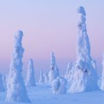 Rovaniemi: Riisitunturi Full-Day Wilderness Adventure & BBQ - Authenticity and Personal Touches