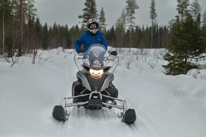 Rovaniemi Snowmobile Adventure & BBQ - 1Hour Drive, Small Group - The Itinerary Breakdown