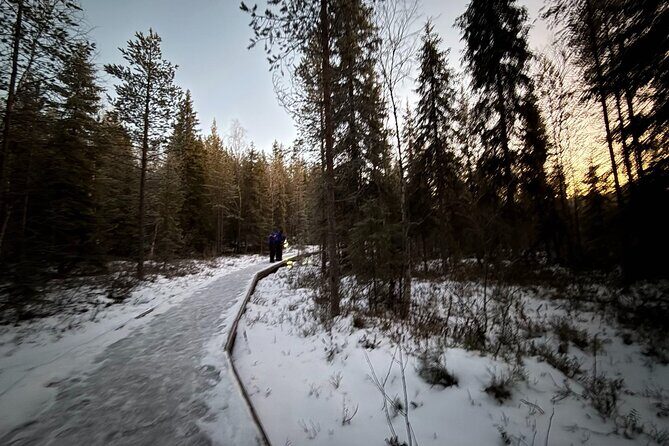 Rovaniemi Vikaköngäs Sightseeing & Photography Tour - The Sum Up