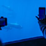 Royal Delfin - 2Hour Sustainable Dolphin & Whale Watching Mini Cruise - The Sum Up