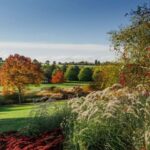 Royal Horticultural Society: Hyde Hall Garden Ticket - Final Thoughts: Is This Garden Worth Visiting?