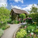 Royal Horticultural Society: Rosemoor Garden Ticket - What to Expect from Your Visit