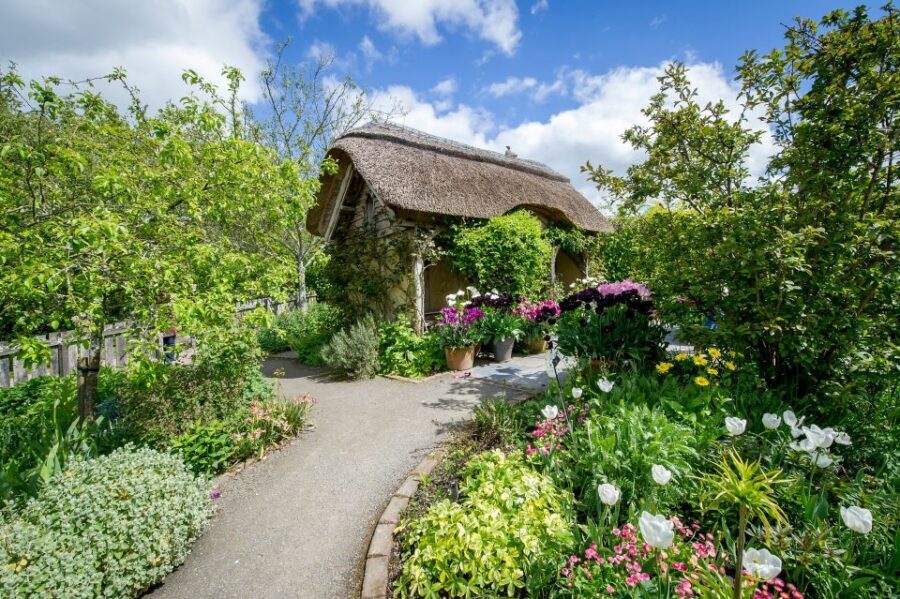Royal Horticultural Society: Rosemoor Garden Ticket - What to Expect from Your Visit