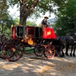 Royal The Hague Private Guided Walking Tour - Binnenhof & Ridderzaal: Heart of Dutch Politics