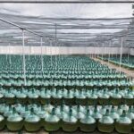 Rueda White Wine Tour with Michelin-Star Lunch from Madrid - What Travelers Say