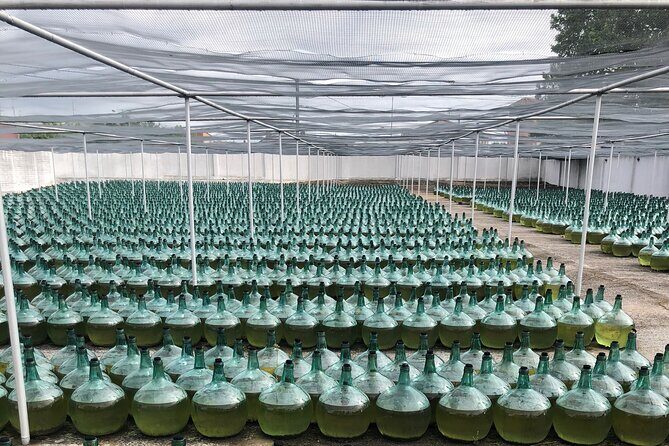 Rueda White Wine Tour with Michelin-Star Lunch from Madrid - What Travelers Say