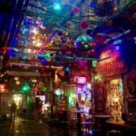 Ruin Pub Walking Tour with a Local Hostess in Budapest - Who Should Book This Tour?