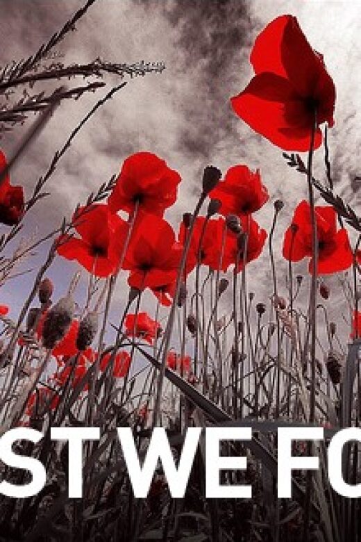 Ruins of Troy and Gallipoli: 2-Day Tour from Istanbul - What We Loved About the Tour