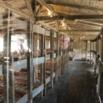 Sachsenhausen Private City tour - Practical Details: What You Need to Know