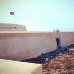 Sagres & Cape St. Vincent Half-Day Tour - Comfort, Transport, and Group Size