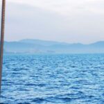 Sailing anytime in Barcelona - Authentic Insights from Past Travelers