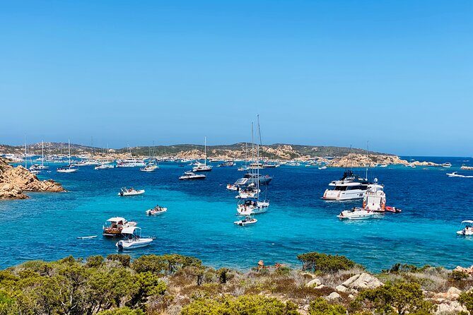 Sailing Cruise in Maddalena Archipelago from Maddalena - Who Will Love This Tour?