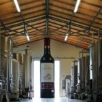 Saint-Émilion: 2 hours - Visit of the vineyard, the cellar and tasting - Why This Tour Offers Great Value