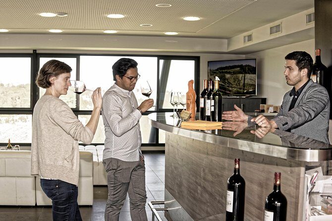 Saint-Emilion Grand Cru Classé: Visit & Tasting in English - Discovering Saint-Emilion’s Grand Cru Estates