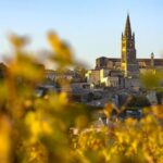 Saint-Emilion Private Full Day Wine Tour from Bordeaux - Why This Tour Stands Out