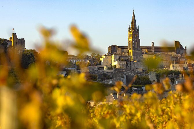 Saint-Emilion Private Full Day Wine Tour from Bordeaux - Why This Tour Stands Out
