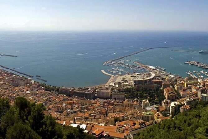 Salerno Shore Excursion: Private Pompeii Tour - Who is This Tour Best For?