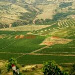 Salt Mine , Lunch at Winery Dracula Grave- Private Tour - Practical Details and What You Need to Know