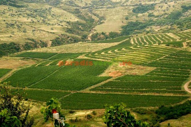 Salt Mine , Lunch at Winery Dracula Grave- Private Tour - Practical Details and What You Need to Know