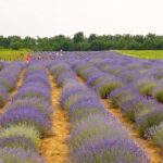 Salt Mine - Slanic Prahova - Why This Tour Offers Great Value