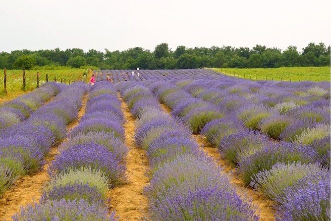 Salt Mine - Slanic Prahova - Why This Tour Offers Great Value