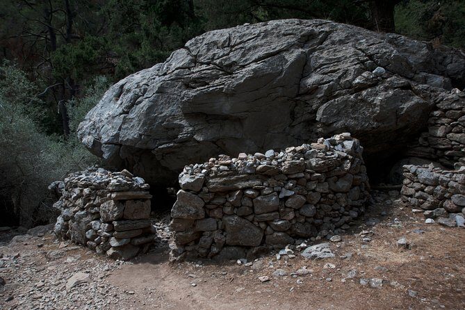 SAMARIA from Malia-Heraklion - Who Should Book This Tour?