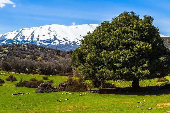 Samaria Long Way from Rethymno - What’s Included and What to Bring