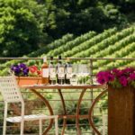 San Gimignano: Chianti wine tasting and lunch - A Closer Look at the Tour Experience