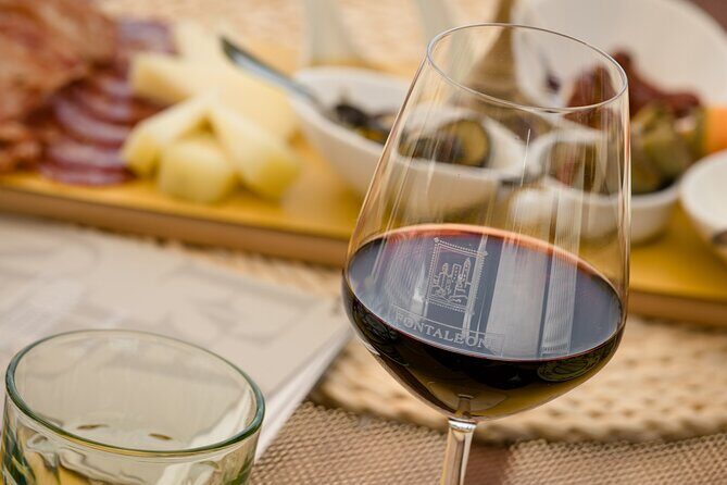 San Gimignano: Chianti wine tasting - Who Should Consider This Tour?