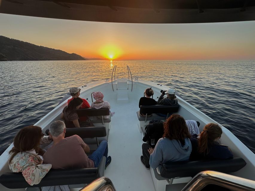 San Sebastian: 2 Bays Evening or Sunset Boat Tour with Cava - Who Will Love This Tour?