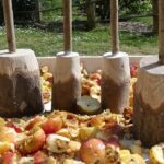 San Sebastian, Getaria & the rural Basque traditions - Authenticity and Reviewer Insights