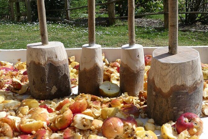 San Sebastian, Getaria & the rural Basque traditions - Authenticity and Reviewer Insights