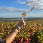 Sancerre Private Wine Tour with 10 Tastings and Lunch from Paris - Practical Details and What to Expect
