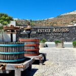 Sanotini Oia Wine Tasting and Local Places Half Day Tour - Price and Value Analysis