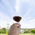 Santa Maria della Versa: Grape Harvest & Wine Tasting Tour - Who Should Consider This Tour?