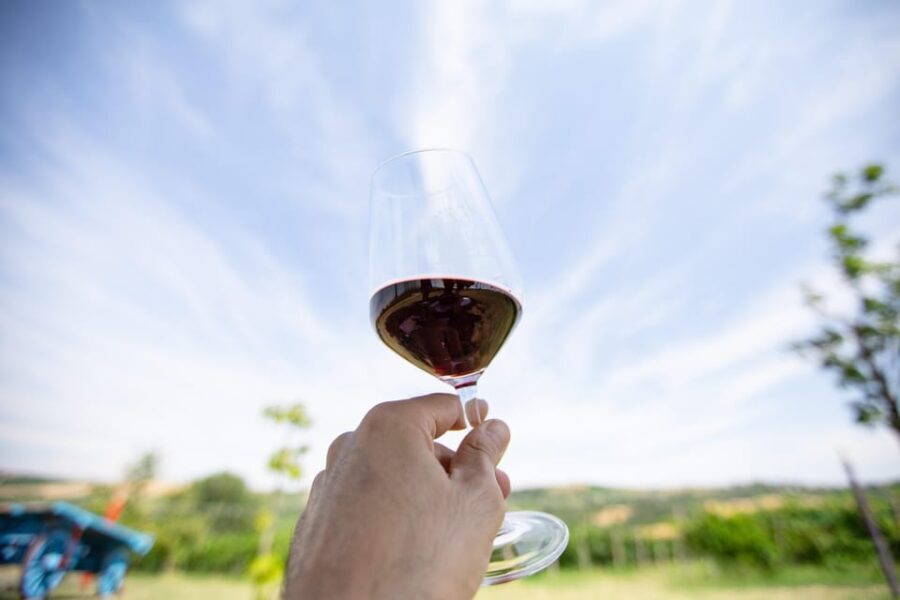 Santa Maria della Versa: Grape Harvest & Wine Tasting Tour - Who Should Consider This Tour?