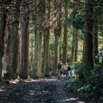 Santa Maria - Walking Tour Guide - In-Depth Look at the Experience