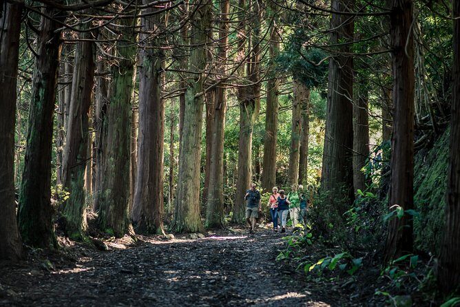 Santa Maria - Walking Tour Guide - In-Depth Look at the Experience