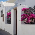 Santorini: 4hr Private Countryside Hidden Paths Tour - The Sum Up