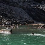 Santorini Caldera Cruise Tour (Volcano, Hot Springs, Thirassia) - Practical Details and Logistics