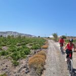 Santorini e-bike sunset tour experience - Sunset Over Megalochori and the Final Dip into the Sea