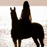 Santorini: Horse riding to the Black Sandy Beach (Eros beach) - What to Expect from the Tour