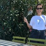 Santorini Mini Wine Tasting Tour at 2 Wineries - How the Experience Feels