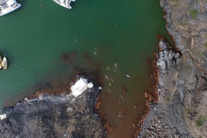 Santorini Volcano Sunset Cruise with Dinner - Considerations & Caveats